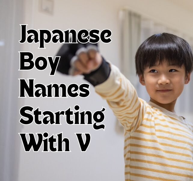 Japanese Boy Names Starting With V