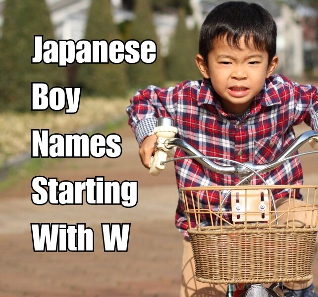 Japanese Boy Names Starting With W