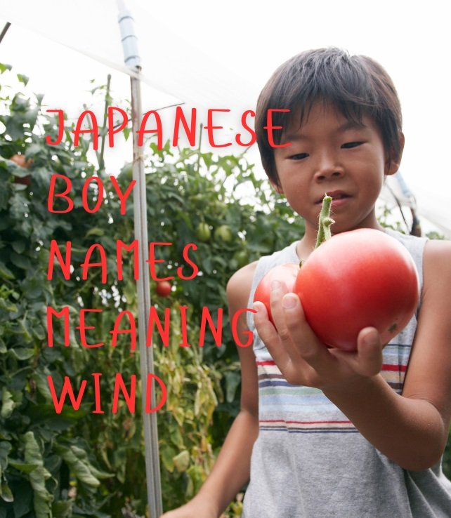 Japanese Boy Names Meaning Wind