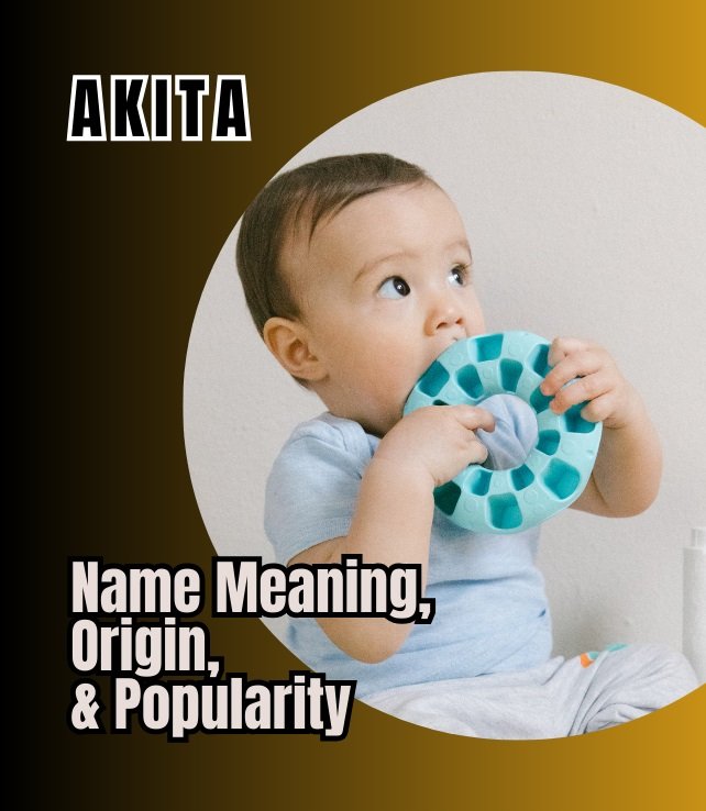 akita name meaning