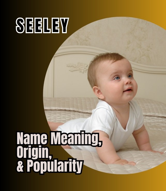 seeley name meaning