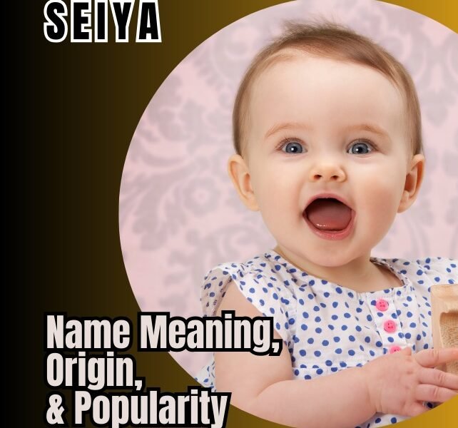 seiya name meaning