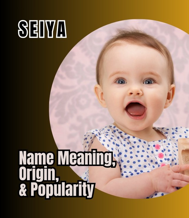 seiya name meaning