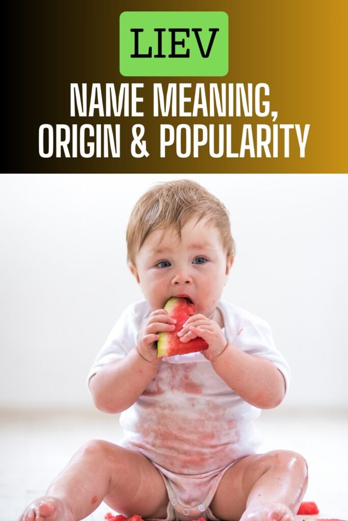 liev name meaning origin