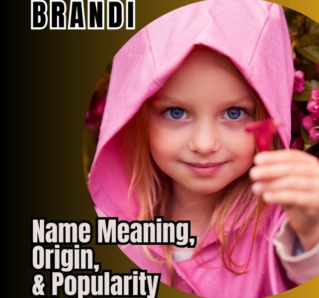 brandi name meaning