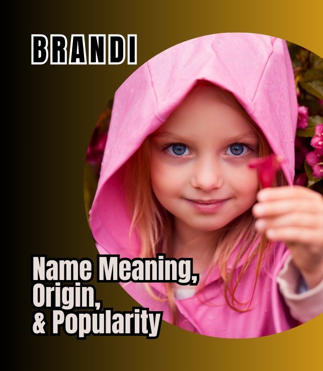 brandi name meaning