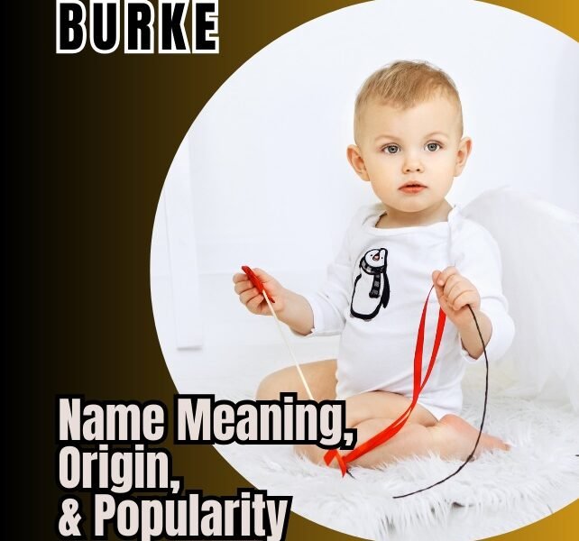 burke name meaning
