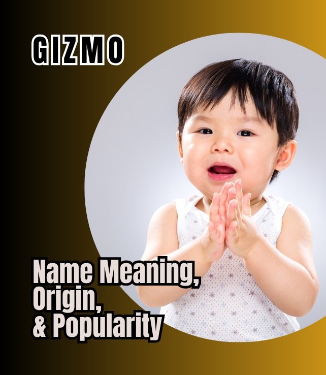 gizmo name meaning