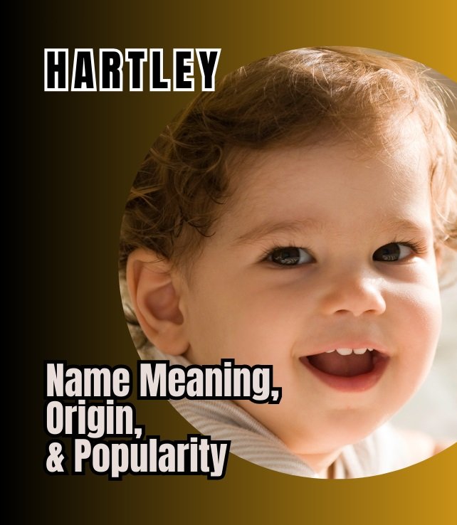 hartley name meaning