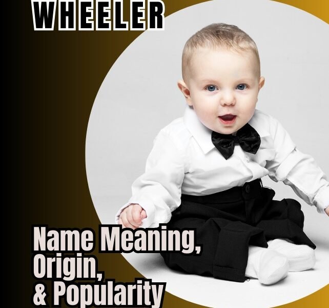 wheeler name meaning