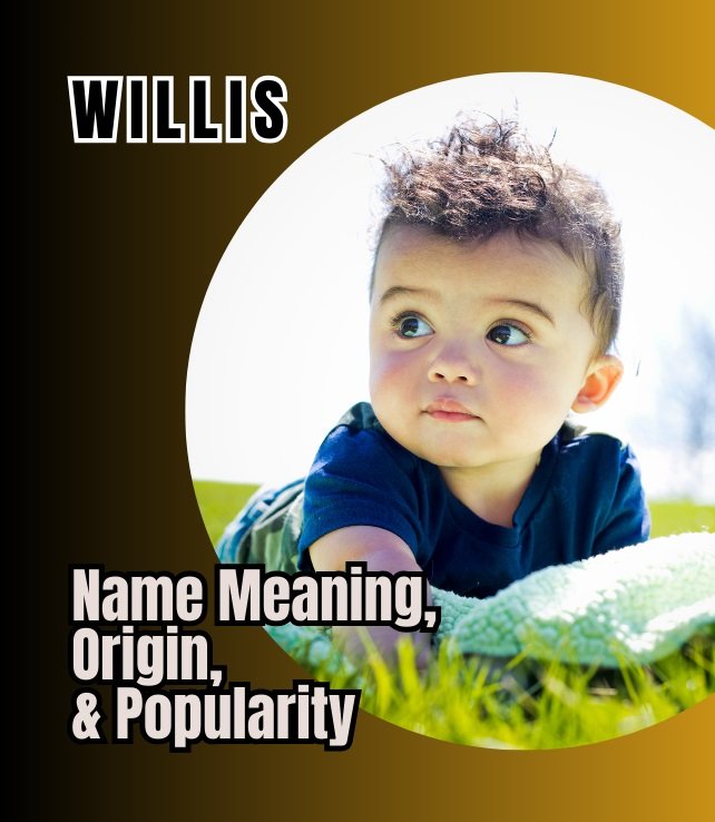 willis name meaning