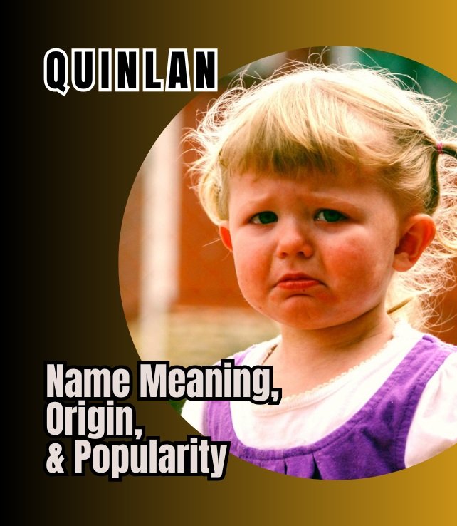 quinlan name meaning