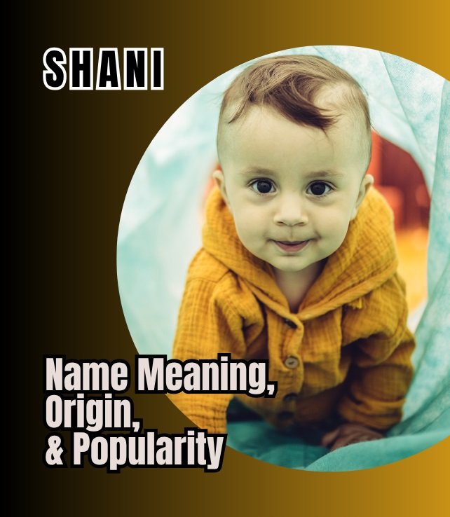 shani name meaning