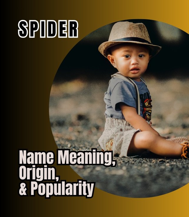spider name meaning