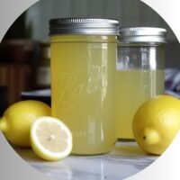 lemonade concentrate recipe