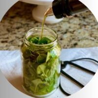 oregano oil recipe