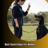 best guard dogs for women