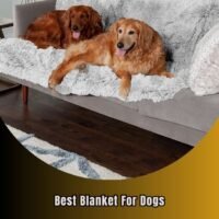 best blanket for dogs