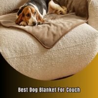 best dog blanket for couch