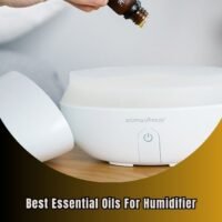 best essential oils for humidifier
