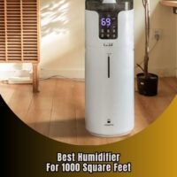 best humidifier for 1000 square feet