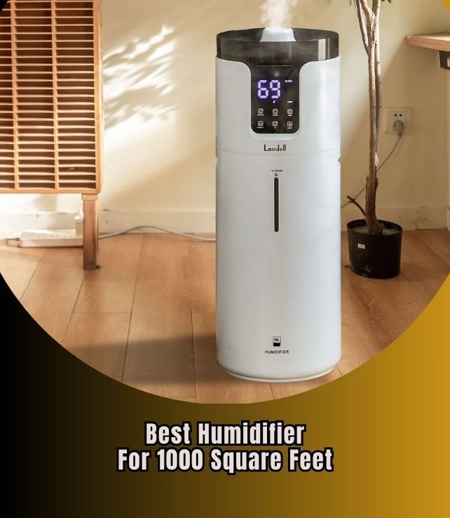 best humidifier for 1000 square feet
