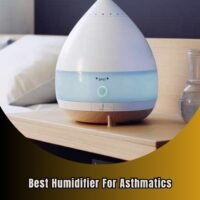 best humidifier for asthmatics
