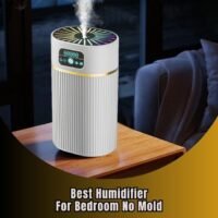 best humidifier for bedroom no mold