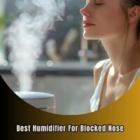 best humidifier for blocked nose