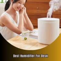 best humidifier for desk