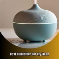 best humidifier for dry nose