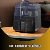 best humidifier for eczema