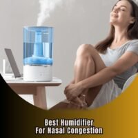 best humidifier for nasal congestion