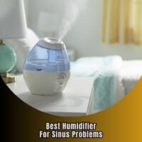 best humidifier for sinus problems