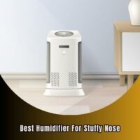 best humidifier for stuffy nose