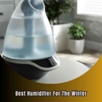 best humidifier for the winter