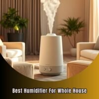 best humidifier for whole house