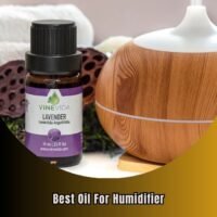 best oil for humidifier