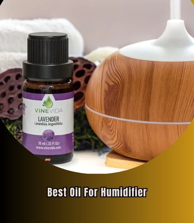 best oil for humidifier